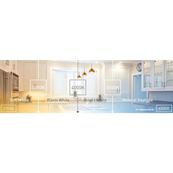 Ecosmart Bombilla LED regulable de 75 W 1155 lúmenes_5