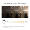 OMED Lighting Bombilla LED Edison de gran tamaño de 5 W y_4