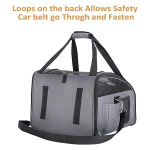 Elevador para asiento de coche Pettom para perros y gatos_5