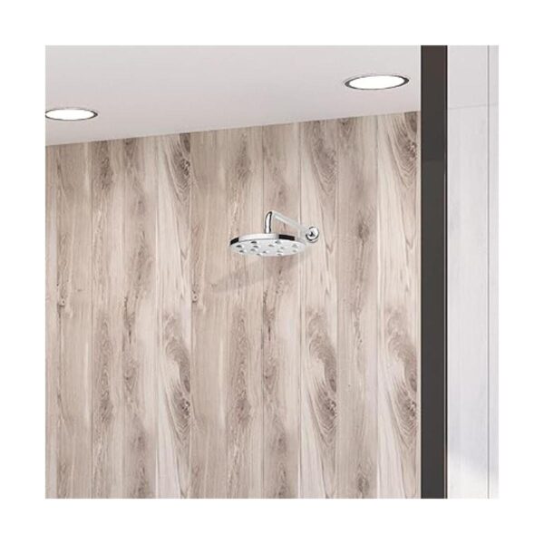Homewerks HS31R125CH Alcachofa de ducha de lluvia de 8.9