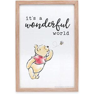 Open Road Brands Disney Winnie The Pooh Its a Wonderful_1