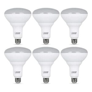Feit Electric LED BR40 con una bombilla de base mediana_1