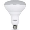 Feit Electric LED BR40 con una bombilla de base mediana_5