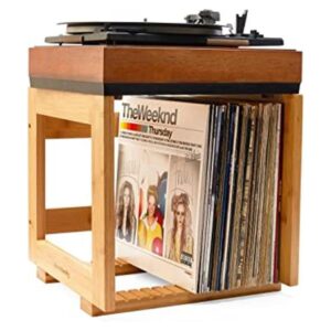 HomeBuddy Almacenamiento de discos de vinilo 1 soporte de_1