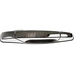 Dorman 80545CD Tirador de puerta delantera derecha_1