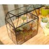 ELEGANTLIFE Terrario geométrico de cristal para plantas
