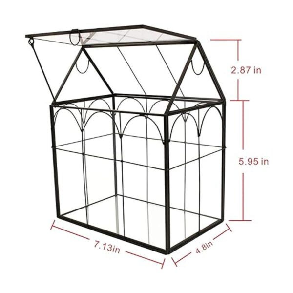 ELEGANTLIFE Terrario geométrico de cristal para plantas