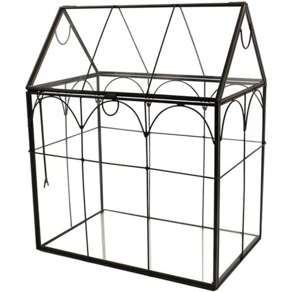 ELEGANTLIFE Terrario geométrico de cristal para plantas