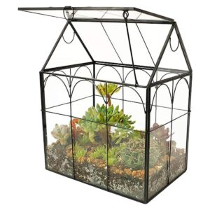 ELEGANTLIFE Terrario geométrico de cristal para plantas