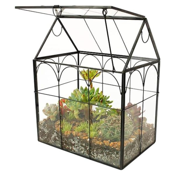ELEGANTLIFE Terrario geométrico de cristal para plantas