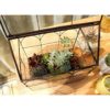 ELEGANTLIFE Terrario geométrico de cristal para plantas