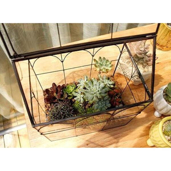 ELEGANTLIFE Terrario geométrico de cristal para plantas