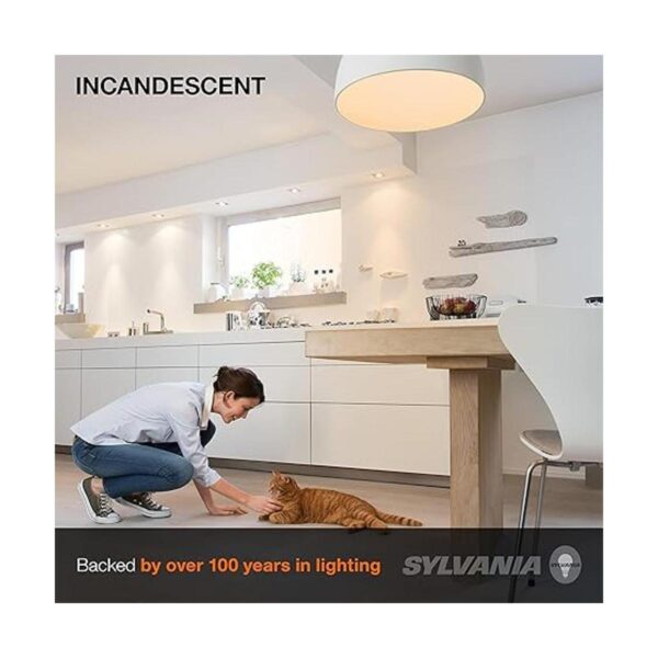 LEDVANCE 15738 Sylvania PS30 Bombilla incandescente 300