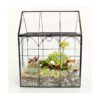 ELEGANTLIFE Terrario geométrico de cristal para plantas