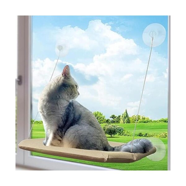 PETPAWJOY Percha para ventana de gato ventosas fuertes