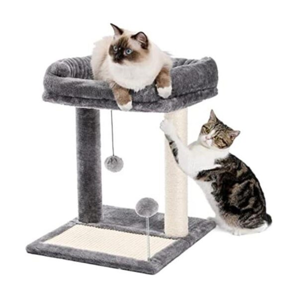 PAWZ Road Poste y almohadilla para rascar gatos con_1
