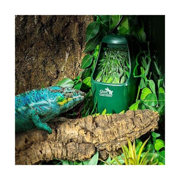 Giangarden Dispensador de agua para reptiles sistema_2