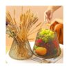 GeoMont Cestas de huevos para recoger huevos frescos