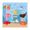 Muiteiur Juego de animales oceánicos suaves de felpa con_2