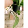 Tijeras y tijeras de podar para plantas de interior de_5