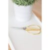 Tijeras y tijeras de podar para plantas de interior de_2