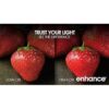 Feit Electric InstaTRIM Downlight LED empotrable con