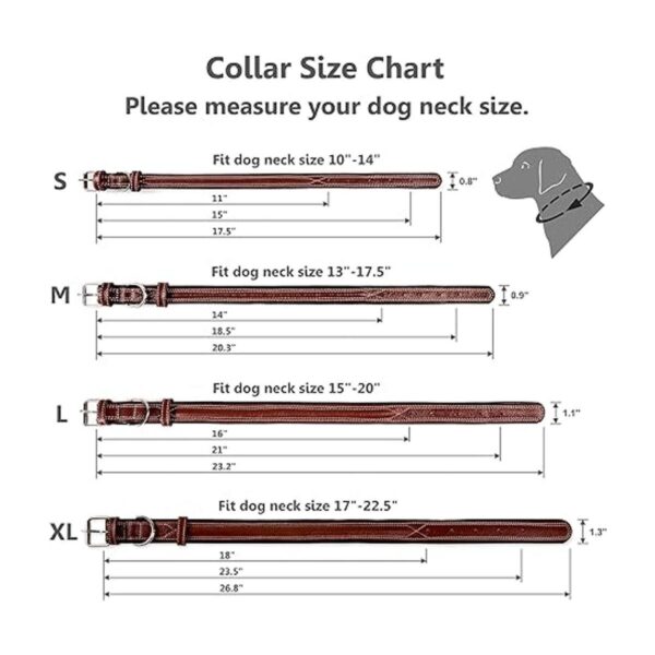 Collar de cuero genuino Orsus para perros grandes cuello