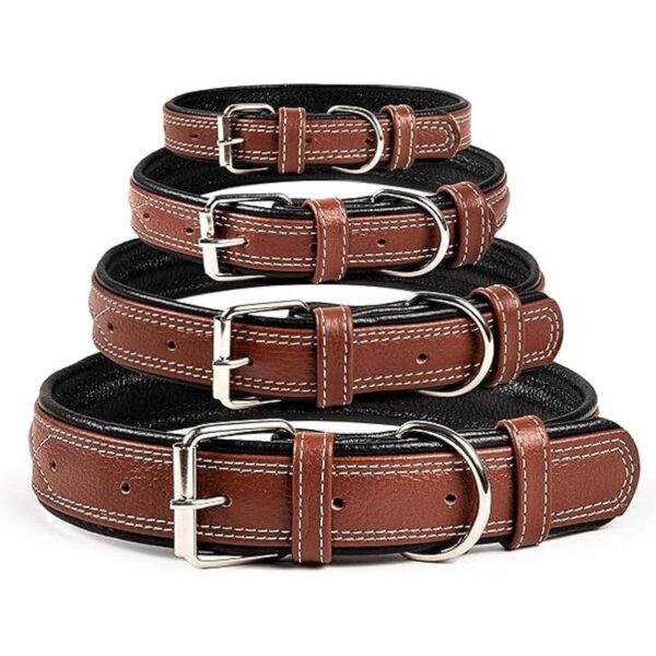 Collar de cuero genuino Orsus para perros grandes cuello