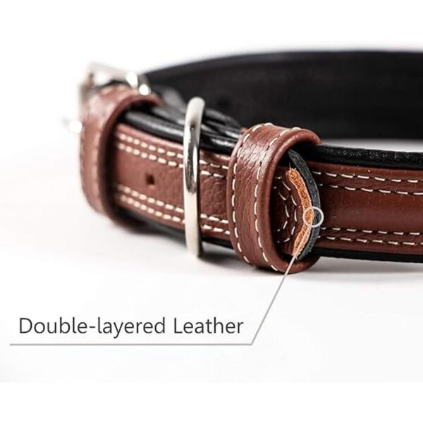 Collar de cuero genuino Orsus para perros grandes cuello