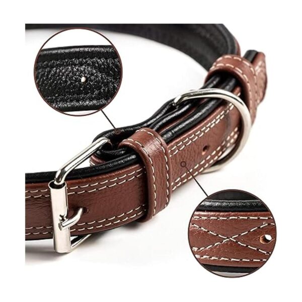 Collar de cuero genuino Orsus para perros grandes cuello