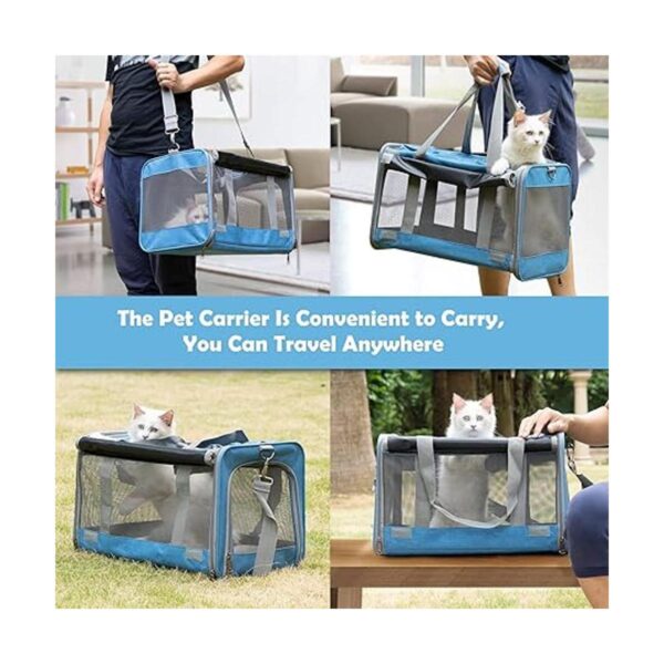 GAPZER Transportador de mascotas para gatos grandes y_6