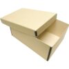 Lineco Foto instantánea de foto tarjeta caja de archivos