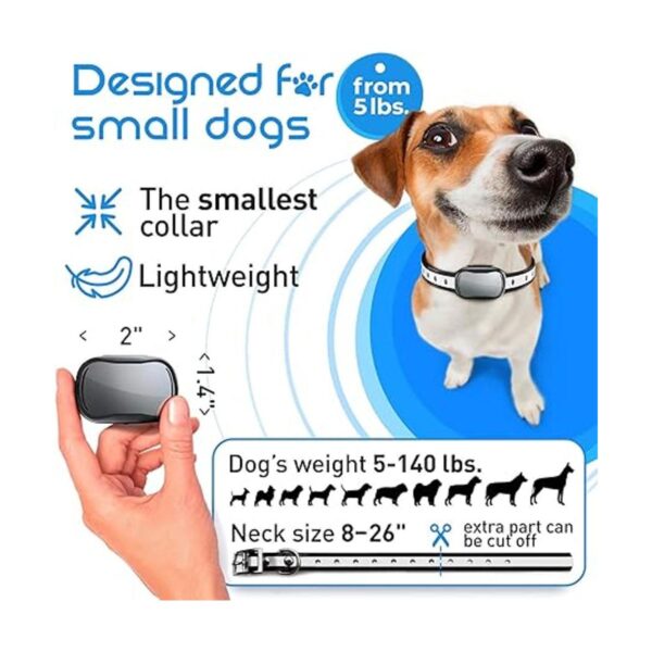 Collar de entrenamiento para perros de tamaño extra