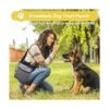 Juego de 6 bolsas de viaje para perros kit de viaje_4
