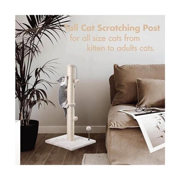 MECOOL Poste rascador de sisal de alta calidad con