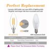 Lamsky Bombilla LED E14 regulable 110 V 400 lm_3