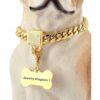Collar de cadena para perro dorado con hebilla segura con