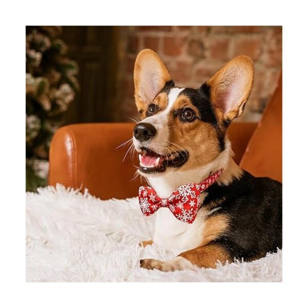 Collar de perro de Navidad con pajarita paquete de 2_6