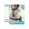 Gentle Creatures Collar Companion Clip de respaldo_6