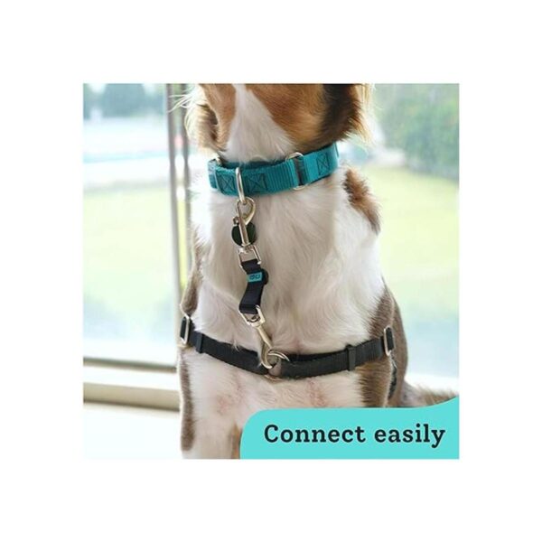 Gentle Creatures Collar Companion Clip de respaldo_6