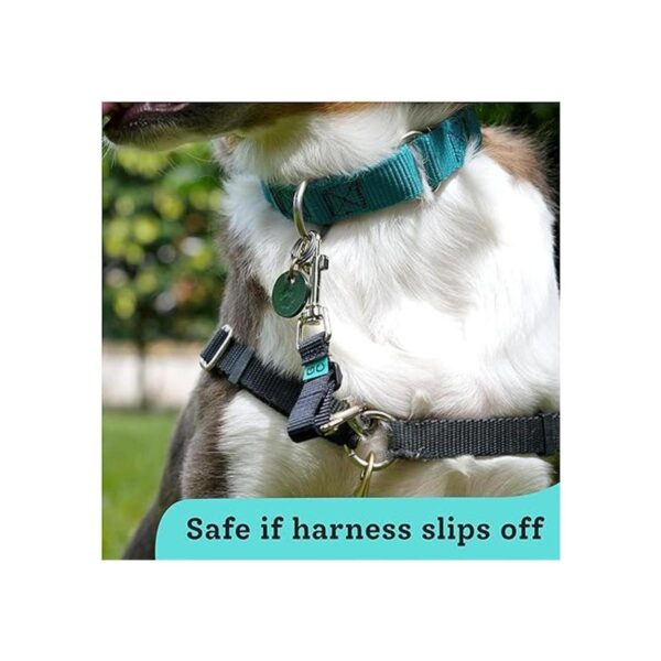 Gentle Creatures Collar Companion Clip de respaldo_5