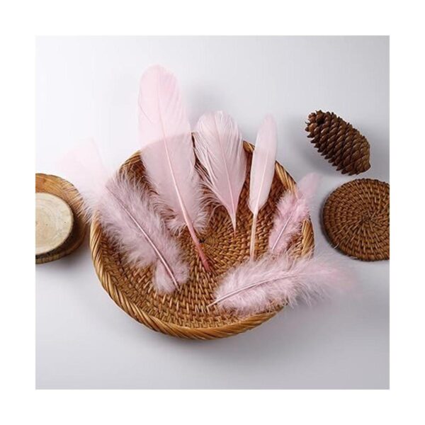 Larryhot Plumas rosas para manualidades a granel 240_5
