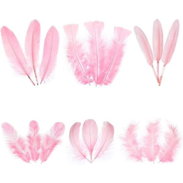 Larryhot Plumas rosas para manualidades a granel 240_1