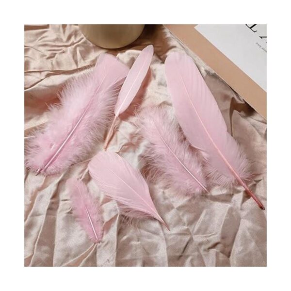 Larryhot Plumas rosas para manualidades a granel 240_2