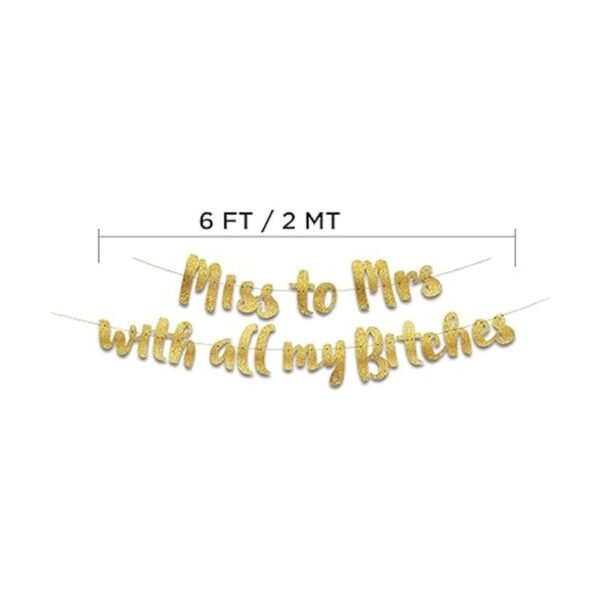 Miss to Mrs Classy Sassy Bachelorette Gold Glitter_6