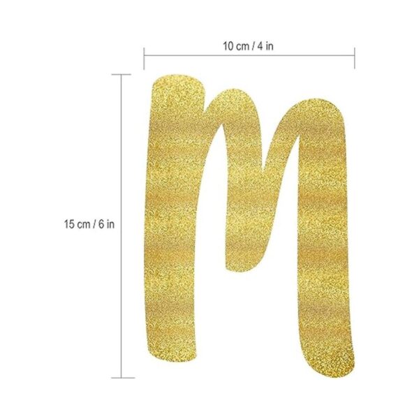 Miss to Mrs Classy Sassy Bachelorette Gold Glitter_4