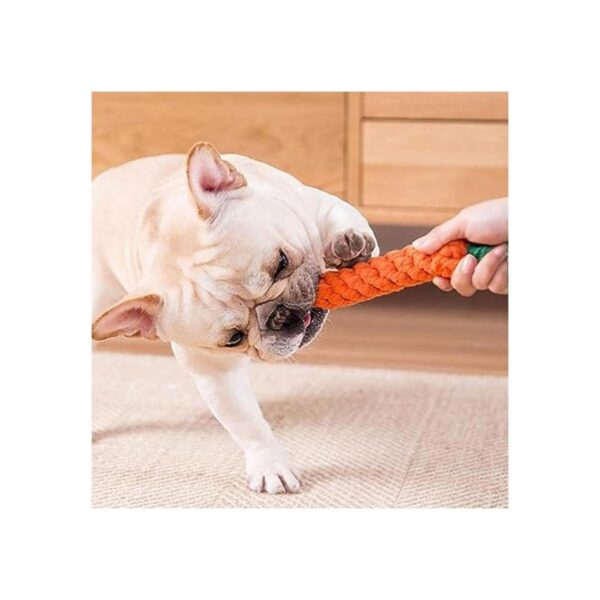 Juguetes para perros 3 juguetes para masticar dentición_2