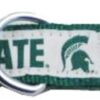 Collar para mascotas NCAA Resistente fuerte duradero y_1