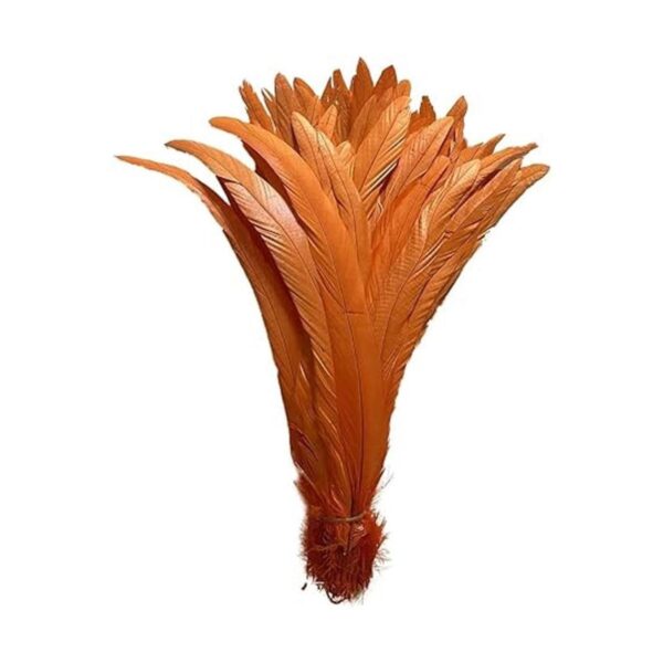 LONDGEN 50 plumas de cola de gallo natural de 12 a 14_2
