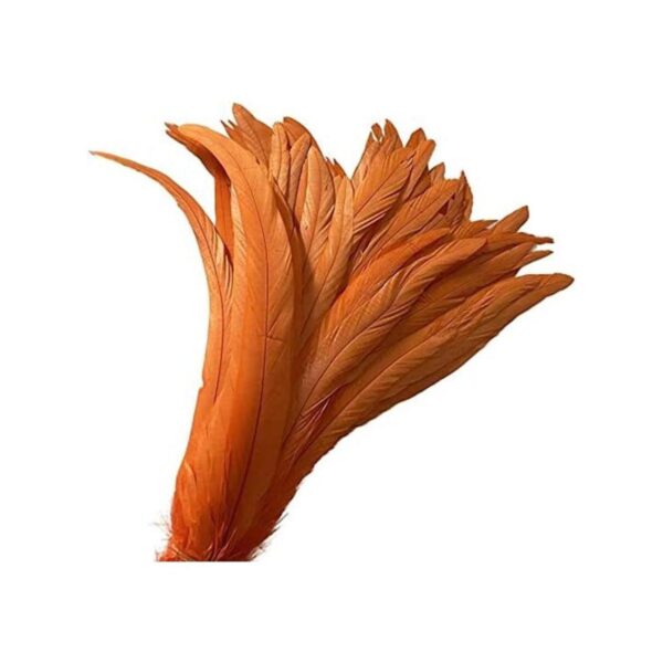 LONDGEN 50 plumas de cola de gallo natural de 12 a 14_1